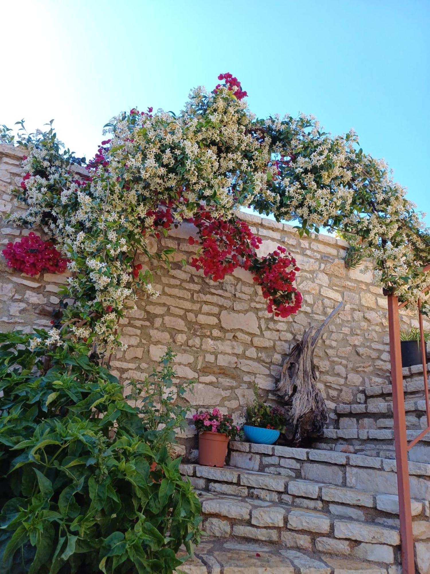 Villa Porta Κηπαρό Εξωτερικό φωτογραφία